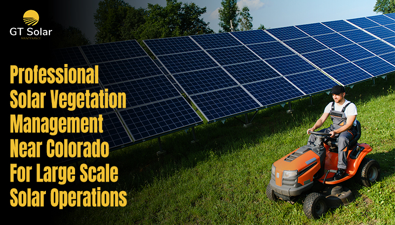 Solar Vegetation Management Near Colorado