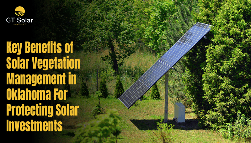 Solar Vegetation Management in Oklahoma