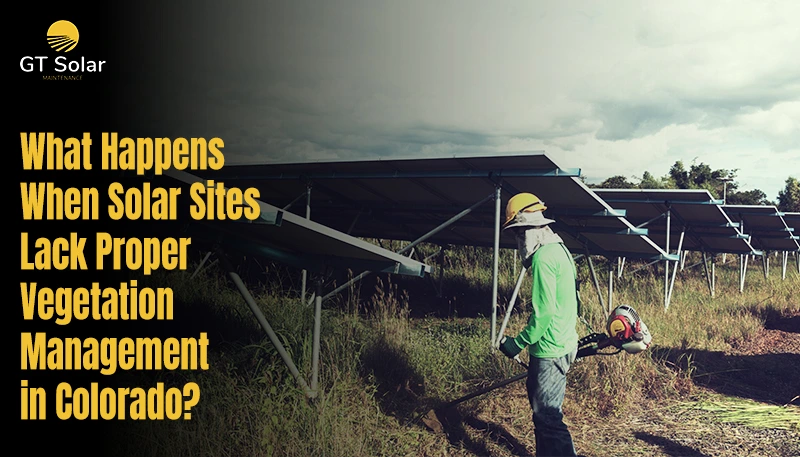 solar vegetation management in Colorado.